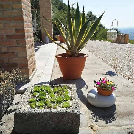 Olivobianco Maison d'hôtes *